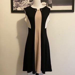 Sandra Darren Dress 8